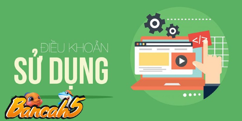 Giới thiệu chính sách điều khoản sử dụng
